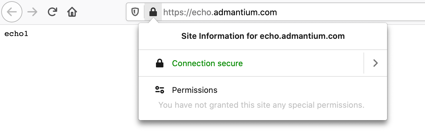 echo_server_in_browser1